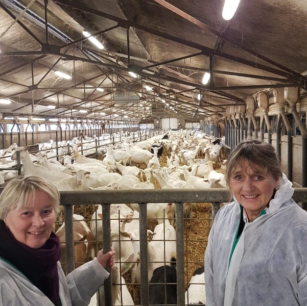 Werkbezoek Mieke Hoek l en Martine Baay r Bij de geitenboerderij van de familie Levi de Lange in Leersum. vierkant